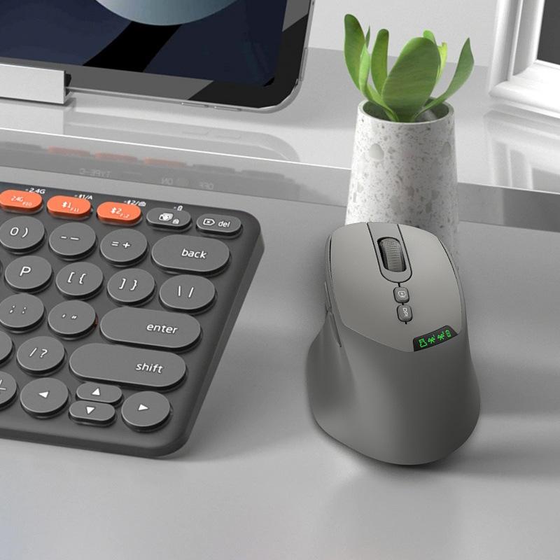 Souris sans fil à double mode, - Ergonomic Mouse 2.4G Silent Click avis et prix