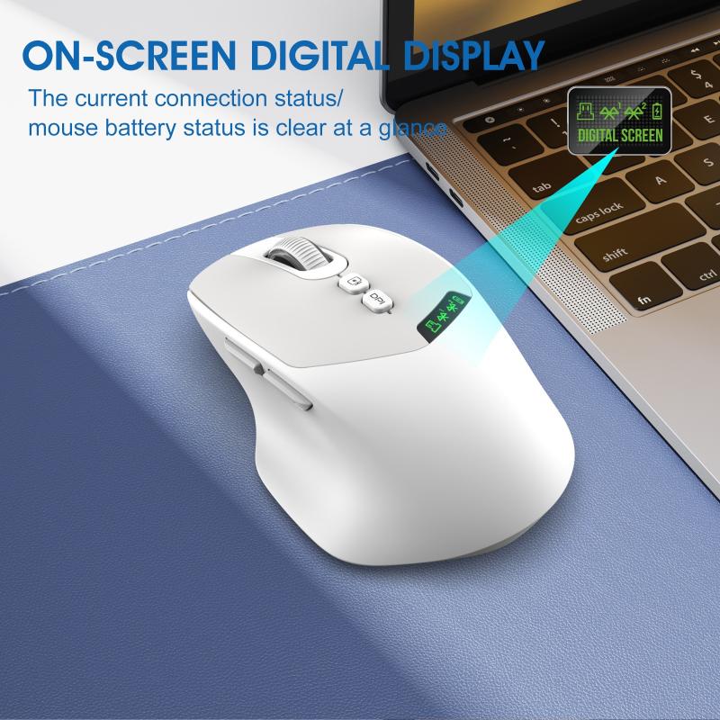 Souris sans fil à double mode, - Ergonomic Mouse 2.4G Silent Click avis et prix